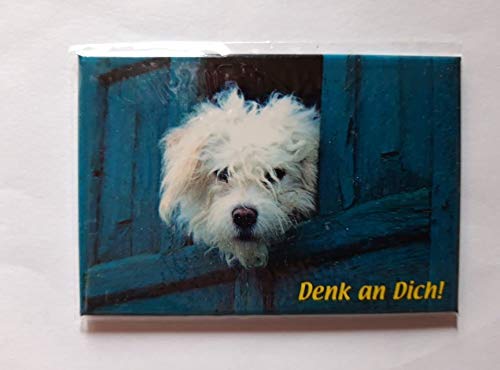 Schöning Magnet Hund, Denk an Dich!, 8 x 5,5 cm, Kühlschrankmagnet Tiere Hunde von Schöning