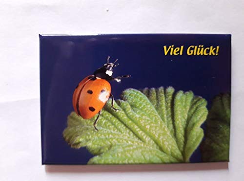 Schöning Magnet Marienkäfer, Viel Glück, 8 x 5,5 cm, Kühlschrankmagnet Tiere Glückskäfer von Schöning