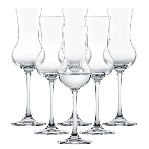 SCHOTT ZWIESEL Digestifset Classico (6er-Set), klassische Schnapsgläser mit Stiel, spülmaschinenfeste Tritan-Kristallgläser, Made in Germany (Art.-Nr. 120518) von Schott Zwiesel