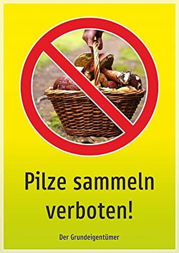 Schild: Pilze sammeln verboten - 297x210mm einseitiger Druck | Aluverbundschild Schild: Pilze sammeln verboten - 297x210mm einseitiger Druck | Aluverbundschild von Schrall
