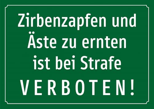 Schild: Zirbenzapfen ernten Verboten - 420x297mm einseitiger Druck | Aluverbundschild Schild: Zirbenzapfen ernten Verboten - 420x297mm einseitiger Druck | Aluverbundschild von Schrall
