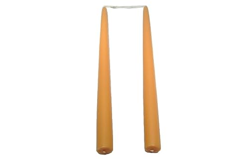 Schreiber Deko 2 Stück/Zwillings-Spitzkerzen/Beige durchgefärbt / 250mm x 23mm von Schreiber Deko