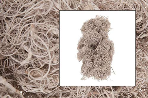 Schreiber Deko Curly Moos/White Washed / 500 Gramm von Schreiber Deko