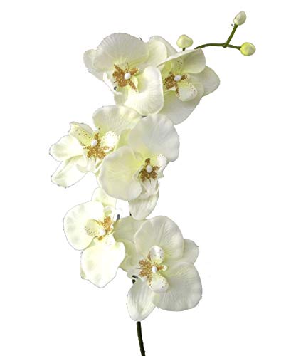 Schreiber Deko Orchideenzweig aus textiler Seide / 6 Blüten + Knospen/Creme-weiß / 78cm von Schreiber Deko