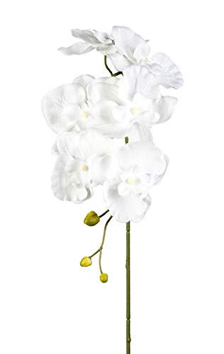 Schreiber Deko Orchideenzweig aus textiler Seide / 6 Blüten + Knospen/weiß / 76cm von Schreiber Deko