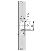 Schroff 30118338 Frontplatte 1St. von Schroff