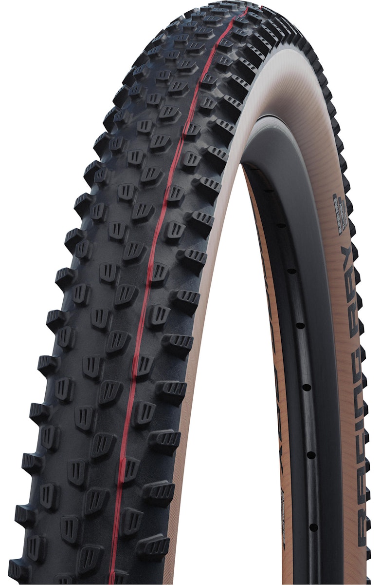 Schwalbe Reifen Racing Ray Evolution Line von Schwalbe