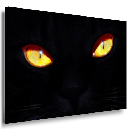 Kunstdruck Schwarze Katze/Bild 100x70cm / Leinwandbild fertig auf Keilrahmen/Leinwandbilder, Wandbilder, Poster, Pop Art Gemälde, Kunst - Deko Bilder von Schwarze Katze