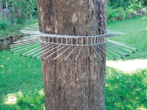 Katzenabwehrgürtel für Bäume Umfang 70 cm - effektiver Kletterschutz für Höhlen- und Freibrüter Katzenabwehrgürtel für Bäume Umfang 70 cm - effektiver Kletterschutz für Höhlen- und Freibrüter von Schwegler