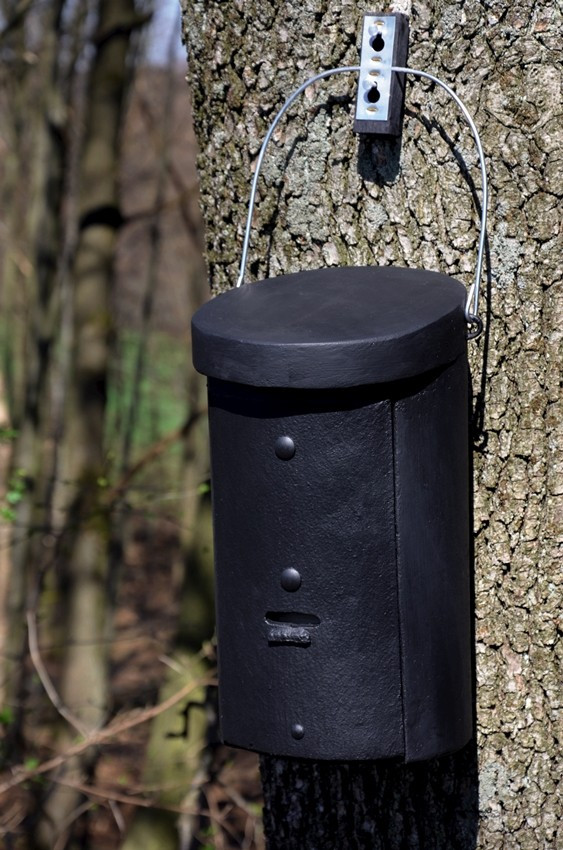 Naturschutzprodukt Fledermaus-Großraumhöhle Typ 2FS für Kleinfledermäuse von Schwegler