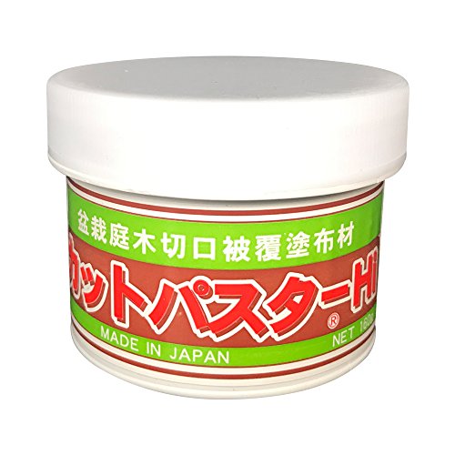 Japanischer Mastix, Heilpaste speziell für Bonsai-Laubbäume, 160 g von Sconosciuto