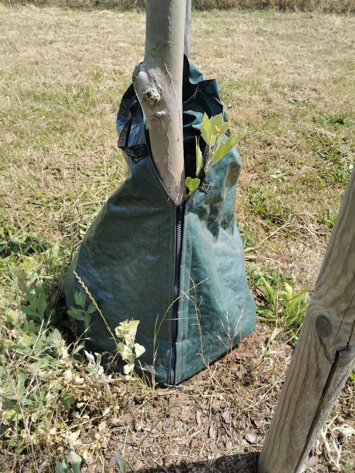 Scorprotect® Bewässerungssystem Baum Bewässerungssack 75 Liter von Scorprotect®