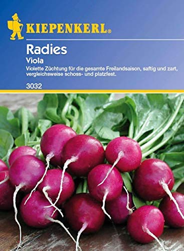 ScoutSeed Kiepenkerl - Radies Violet Viola 3032 Violet Radieschen Juicy + Tender von ScoutSeed