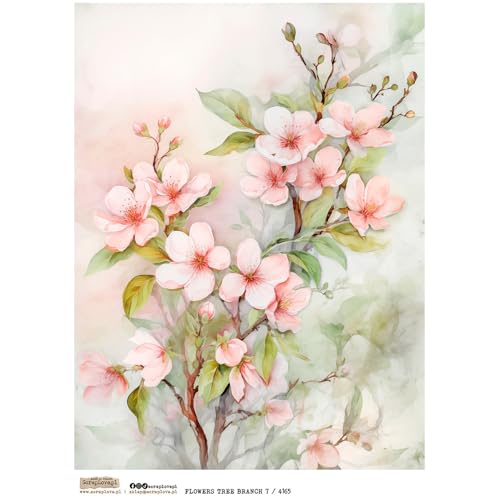 Reispapier A4 Scraplove - Scrapbooking Decoupage - Flowers Tree Branch 7 Blumenzweig Reispapier A4 Scraplove - Scrapbooking Decoupage - Flowers Tree Branch 7 Blumenzweig von ScrapLove