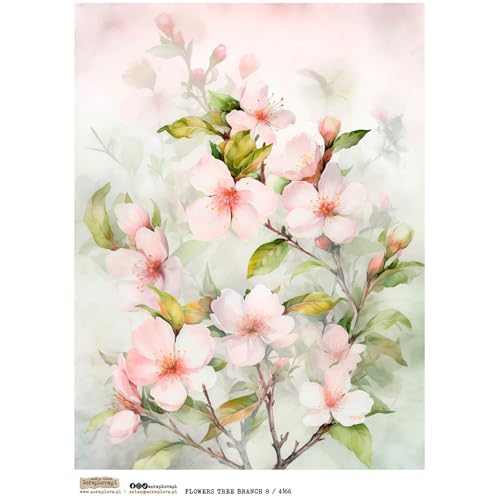 Reispapier A4 Scraplove - Scrapbooking Decoupage - Flowers Tree Branch 8 Fruchtblüten Reispapier A4 Scraplove - Scrapbooking Decoupage - Flowers Tree Branch 8 Fruchtblüten von ScrapLove