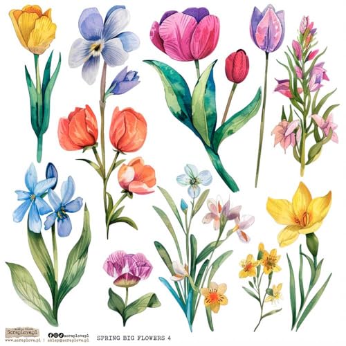 Scrapbooking Papier Sticker - ScrapLove - Spring Big Flowers 4 Blumen Tulpen Scrapbooking Papier Sticker - ScrapLove - Spring Big Flowers 4 Blumen Tulpen von ScrapLove