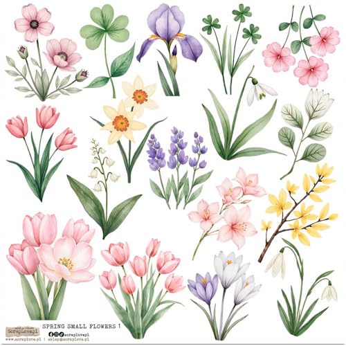 Scrapbooking Papier Sticker - ScrapLove - Spring Small Flowers 1 Frühlingsblumen Scrapbooking Papier Sticker - ScrapLove - Spring Small Flowers 1 Frühlingsblumen von ScrapLove