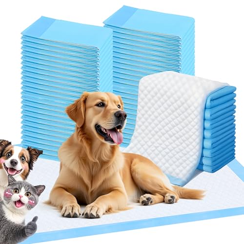 FluffyDream Trainingsunterlage für Hunde und Welpen, 40-Stück 60X60cm Puppy Pads, Welpenunterlagen, Auslaufsicheres 5-Lagiges Design mit Schnell Trocknender Oberfläche, Mittelgroß, Blau von FluffyDream