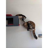 Wally Bigcat Tunnel Mini Bundle - 4Er Set Katzenregale Für Große Katzen Wally Bigcat Tunnel Mini Bundle - 4Er Set Katzenregale Für Große Katzen von ScratchyThings