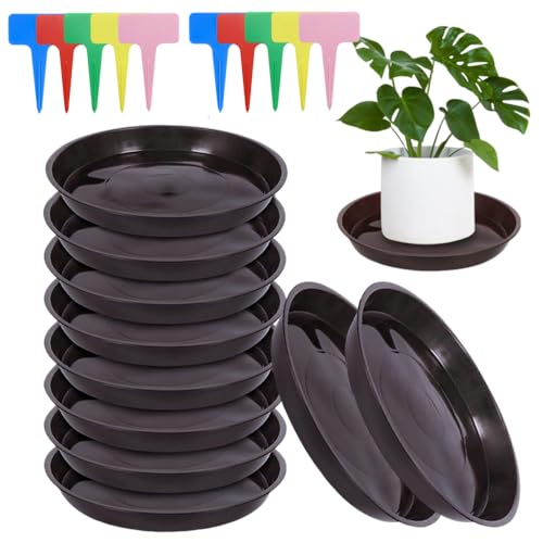 Sctmda 15 cm Blumentopf Untersetzer Kunststoff 10 Stück Blumentopf Untersetzer Plastik Rund Pflanzentopf Untertasse Plastik Pflanztopf Unterteller mit 20 Etikett für Innen und Außenpflanzen Schwarz von Sctmda