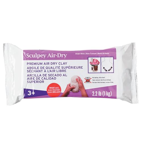 Sculpey Air-Dry White Non-Toxic Air Dry Clay 1 kg Bar Great for Modeling, Sculpting, Holiday, Handprints DIY and School Projects.Perfect for all skill level von Sculpey