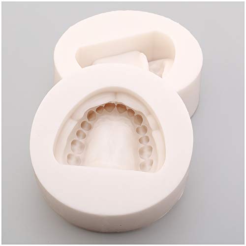 SdaryWare Zahnmodell Dentalkieferform - Dentale zahnlose Hohlraumform - Weiche Silikonform Dentale Negativform - Umgestaltung des zahnlosen Gipsmodells,A von SdaryWare