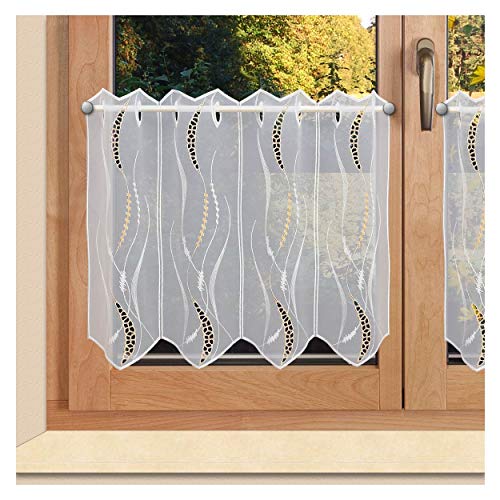 Bestickte Scheibengardine Valerie Vogtländische Spitze weiß-beige - Moderner Scheibenhänger mit Lochstickerei | Hochwertiger Kurzstore Ornamente | Panneaux Halbtransparent Höhe x Breite 45 x 128 cm von SeGaTeX home fashion