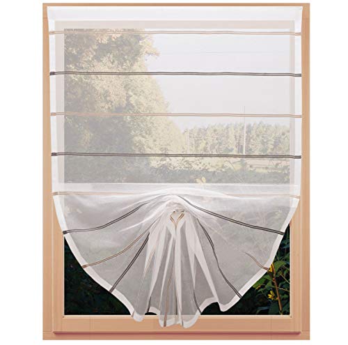 SeGaTeX home fashion Scheibenhänger Schwalbenschwanz Juna Organza beige-braun halbtransparent mit Tunnelband 100 x 80 cm von SeGaTeX home fashion