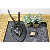 Geweih Deko Gothic Schwarz Gold Geweih Deko Gothic Schwarz Gold von SeaRabbitArt