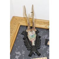 Geweih Gehörn Deko Wanddeko Schmetterling Butterfly Blau Türkis Grün Schwarz Geweih Gehörn Deko Wanddeko Schmetterling Butterfly Blau Türkis Grün Schwarz von SeaRabbitArt