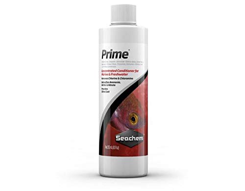 Pets-N-Us Seachem Laboratories 075223 Prime 250 ml von Seachem