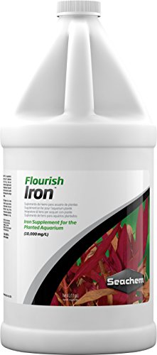 Seachem Flourish Hochkonzentriertes Eisen, 4 Liter von Seachem