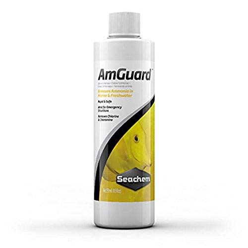 Seachem Liquid AmGuard 500 ml von Seachem