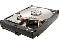 Seagate Constellation ES ST31000424SS Interne Festplatte 1TB (8,9 cm (3,5 Zoll), 7200 rpm, 8,5 ms Zugriffszeit, 16MB Cache) von Seagate