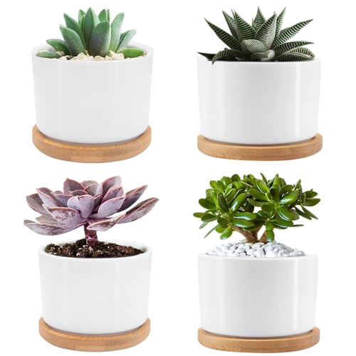Seahelms Klein Keramik Sukkulenten Töpfe 8cm Kaktus Pflanzer Töpfe Mini Blumentopf Klein Übertopf mit Bambus Untersetzer für Wohn,Esszimmer,Terrasse, 4er-Set (ohne Pflanzen) von Seahelms