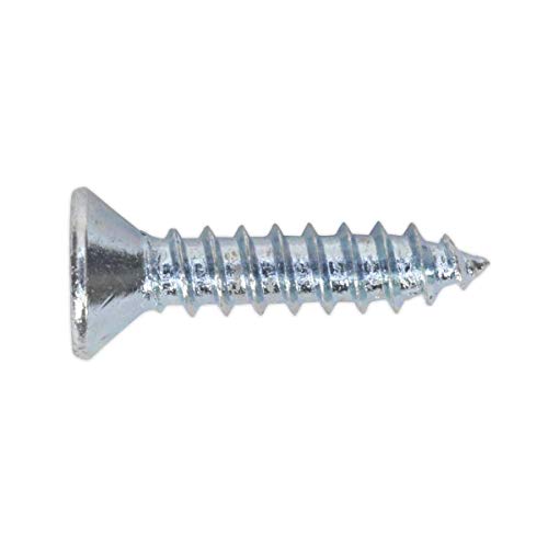 Sealey ST3516 3,5 x 16 mm Senkkopf Pozi selbstschneidende Schraube DIN 7982 100 Stück, silber, 3,5 x 16 mm, 100 Stück Sealey ST3516 3,5 x 16 mm Senkkopf Pozi selbstschneidende Schraube DIN 7982 100 Stück, silber, 3,5 x 16 mm, 100 Stück von Sealey