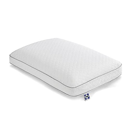 SEALY Essentials Memory-Foam-Bettkissen zur Druckentlastung, adaptives Kissen aus Memory-Schaum mit waschbarem Strickbezug, Standard, 61 x 40,6 x 12,7 cm, Weiß SEALY Essentials Memory-Foam-Bettkissen zur Druckentlastung, adaptives Kissen aus Memory-Schaum mit waschbarem Strickbezug, Standard, 61 x 40,6 x 12,7 cm, Weiß von SEALY