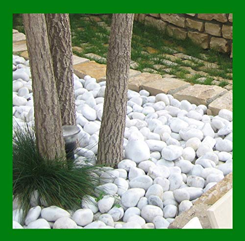Seat Flor SRL® Marmorkiesel weiß Carrara im Beutel 25 kg Durchmesser 40-60 Stein weiß für Garten von Seat Flor