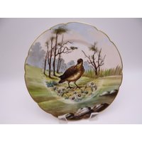 1882 Fabrik Dekoriert Charles Field Haviland Handbemalte Limoges Frankreich Wildvogelschrankplatte - Entzückend 1882 Fabrik Dekoriert Charles Field Haviland Handbemalte Limoges Frankreich Wildvogelschrankplatte - Entzückend von SecondWindShop