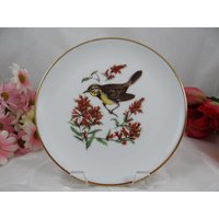 1960Er Jahre Josef Kuba | Jkw Westdeutschland Vogel Teller 1960Er Jahre Josef Kuba | Jkw Westdeutschland Vogel Teller von SecondWindShop