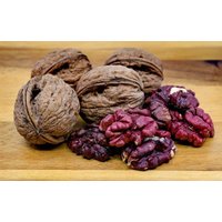 Bio Seltene Rote Walnuss - 1 Pflanze in Topf von Securita