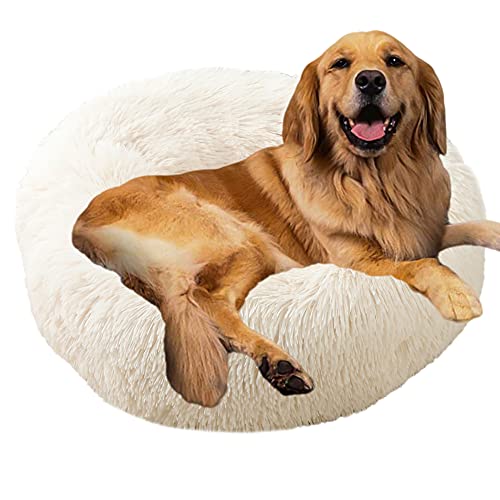 Sedefen Hundebett Rund Plüsch Flauschige Hundekissen Hundesofa Katzenbett,Waschbar rutschfest,Haustier Hundebett für Hunde und Katzen,Weiß,Durchmesser 60cm von Sedefen