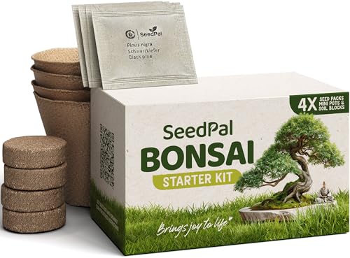 SeedPal Bonsai Set - Bonsai Starter Kit - Bonsai Anzuchtset 4 versch. Bonsai Baum Samen - Geschenkset/Pflanzset inkl. Anleitung & Zubehör von SeedPal