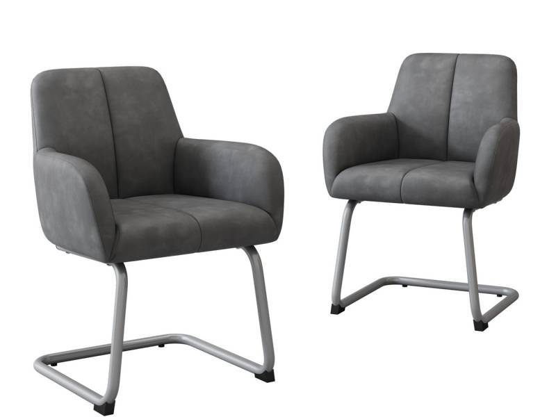 SeedWave Freischwinger PU-Leder Freischwinger Stühle mit Armlehnen, Ergonomisches Rückenlehne, 2er Set, Grau,Gepolsterter Esszimmerstühle mit verstärkte Ecken von SeedWave