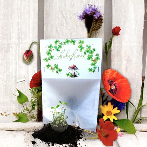 Seedball „Glücksblumen“ Tüte (5stk.) *MadeInGermany* unterstützt von regionaler Behindertenwerkstatt - nachhaltiges Geschenk für ihre Liebsten | Samenbombe Samenkugeln Blumenkugeln (Bienenstaatbanket) von Seedball-Manufaktur