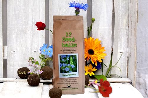 Seedball 12er Pack *MadeInGermany* unterstützt von regionaler Behindertenwerkstätte - nachhaltige Geschenke | Samenbomben, Blumensamen, Samenkugeln, Blumenkugeln (Seedballs Balkongarten - 12 Stück) von Seedball-Manufaktur