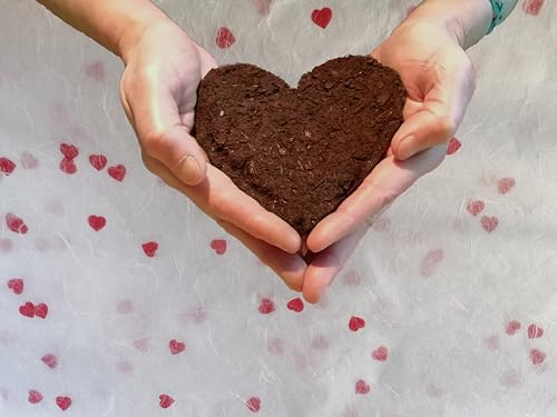 Seedball Herz *MadeInGermany* unterstützt von regionaler Behindertenwerkstätte - nachhaltiges Geschenk für Valentinstag, Muttertag, Geburtstag usw. | Samenbomben, Blumensamen, Blumenkugeln in Herzform von Seedball-Manufaktur