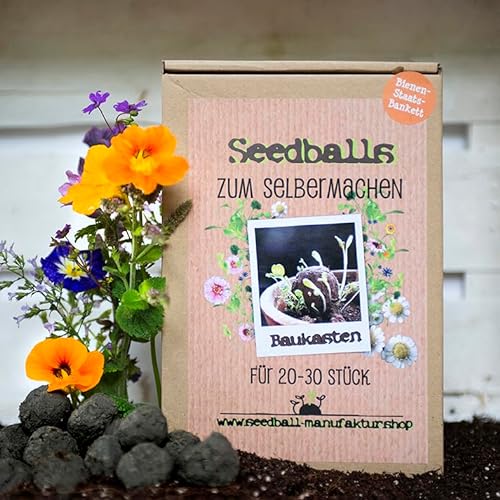 Seedball-Manufaktur - Seedball Baukasten für ca. 25 Blumenmurmeln zum selber rollen, Samenbmben, Saatgutmischung Bienenstaatsbankett von Seedball-Manufaktur