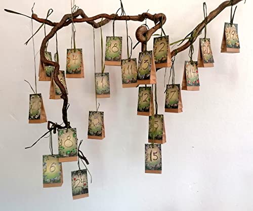 Seedball Manufakturs nachhaltiger Adventskalender *Das Original* unterstützt von regionalen Behindertenwerkstätten | Samenbomben für Groß und Klein | ökologischer Adventskalender 2024 von Seedball-Manufaktur