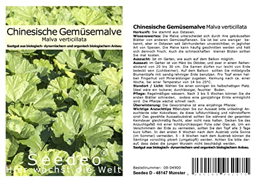 Seedeo Gemüsemalve Chinesische (Malva verticillata) 200 Samen BIO von Seedeo Gemüse Raritäten